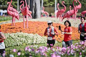 BIB: 
                            <button type="button" onclick="openModal(27793497)" class="btn btn-primary btn-sm float-right btn-popup" data-toggle="modal" data-target=".modal-high-quality">
                        <i class="fas fa-shopping-cart"></i> Add to Cart
                    </button>
                                            <button type="button" onclick="isThisMe(27793497, true)" class="btn btn-success btn-sm float-right btn-popup btn-isme hidden" data-toggle="tooltip" data-placement="bottom" title="นี่คือรูปของคุณใช่ไหม คลิกที่นี่เพื่อเอาเข้าอัลบั้ม">
                        <i class="fas fa-plus"></i> Add to album
                    </button>
                    <button type="button" onclick="isThisMe(27793497, false)" class="btn btn-warning btn-sm float-right btn-popup btn-isnotme hidden">
                        <i class="fas fa-ban"></i> Remove from album
                    </button>